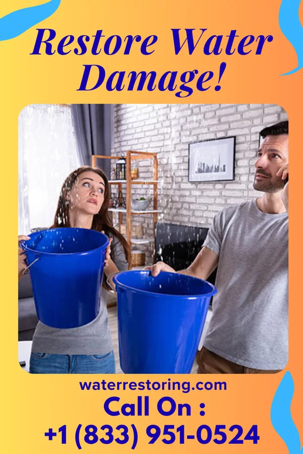 water restoration Pro Disaster Recovery Masters Sunset Village